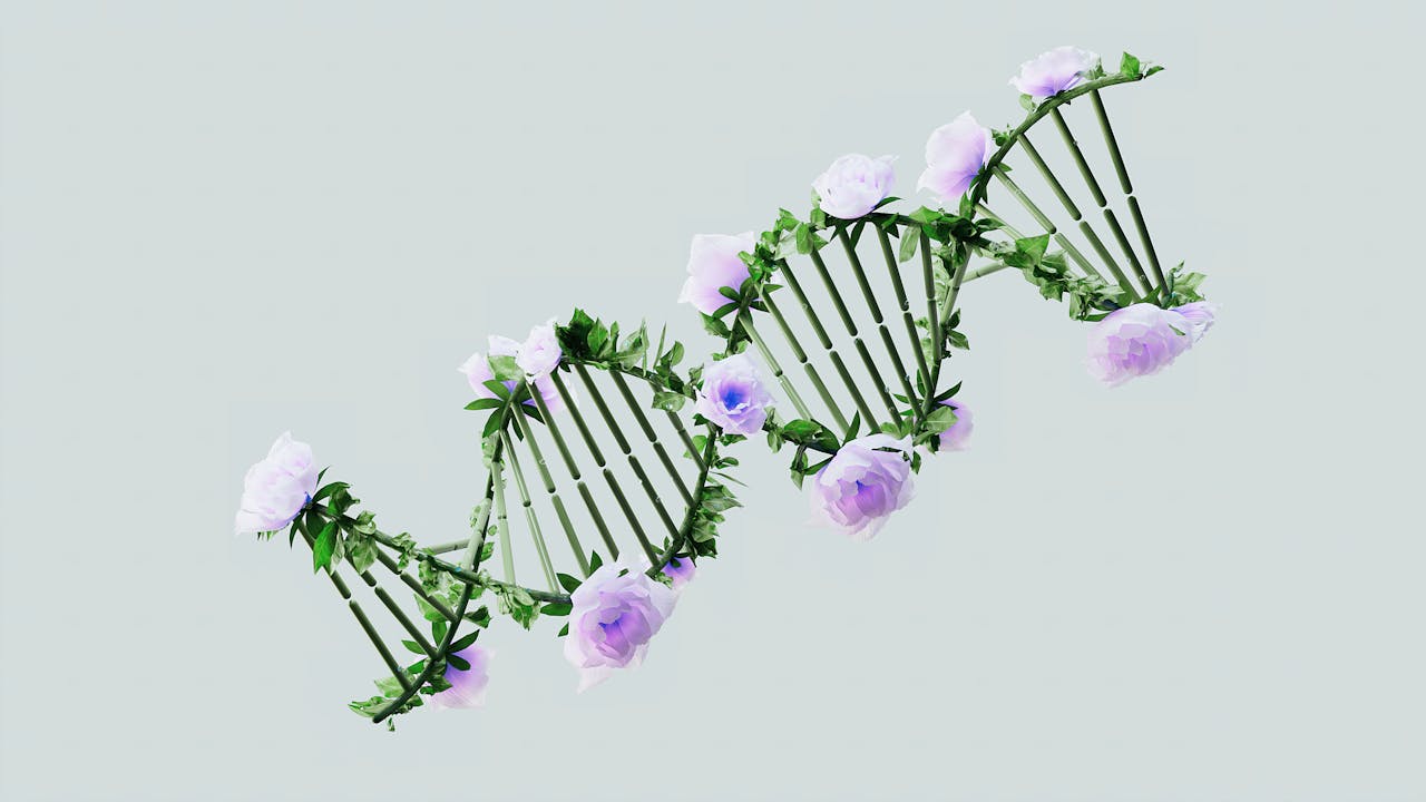 Genetics & Personalized Care