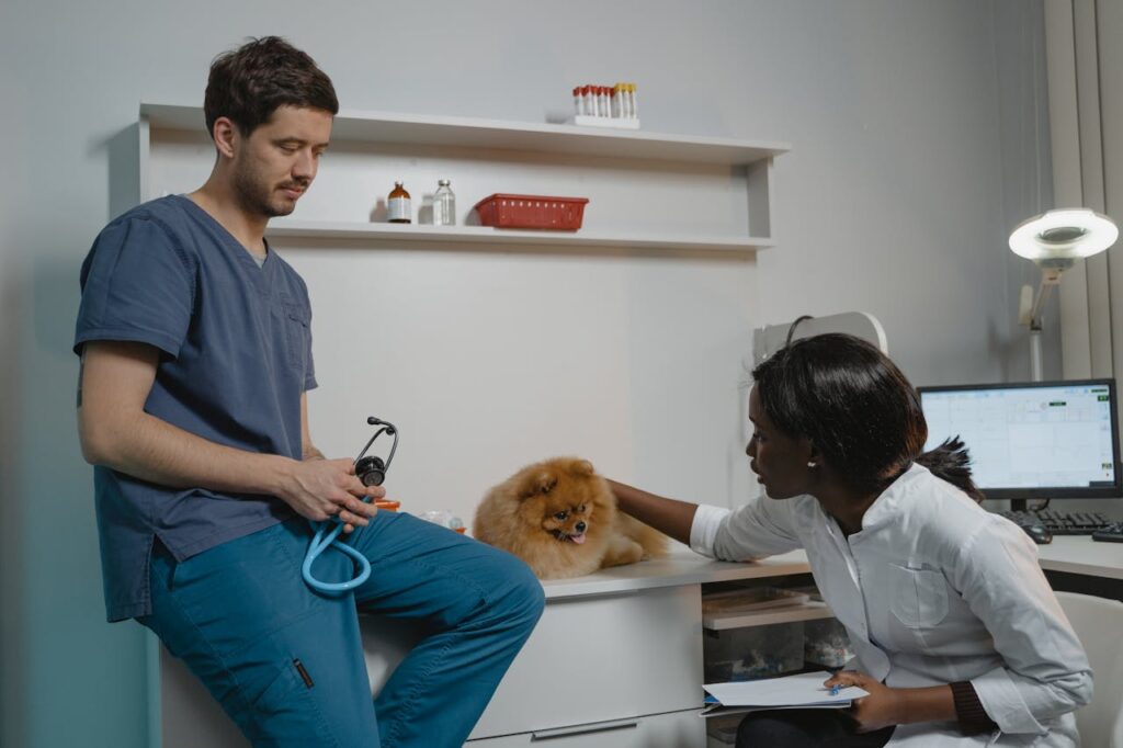 Pet Health
