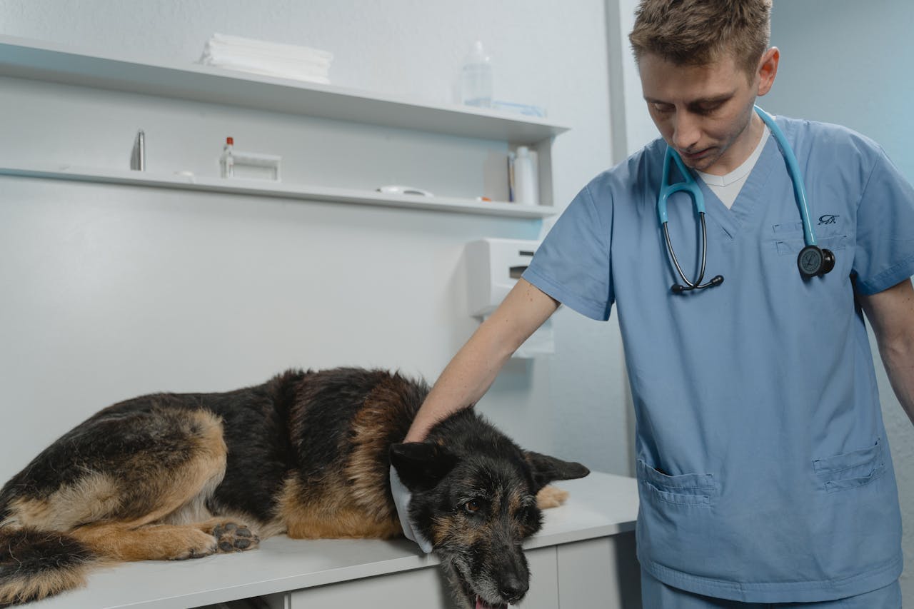 Pet Health