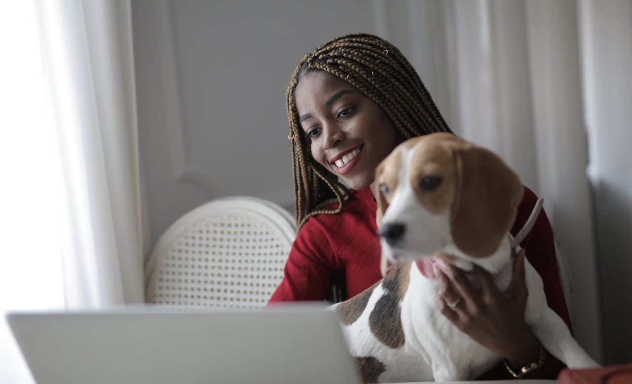 pet wearable tech