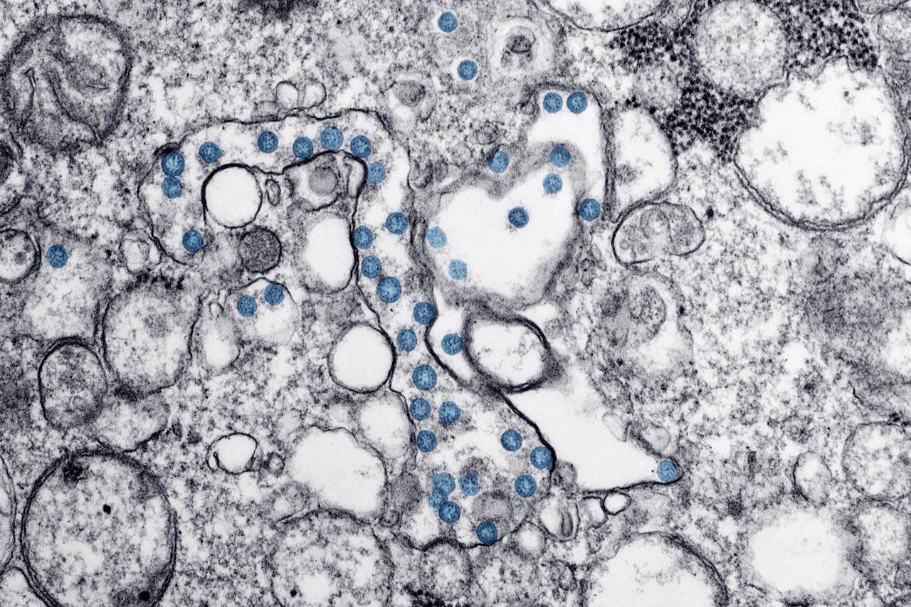 microbiome testing