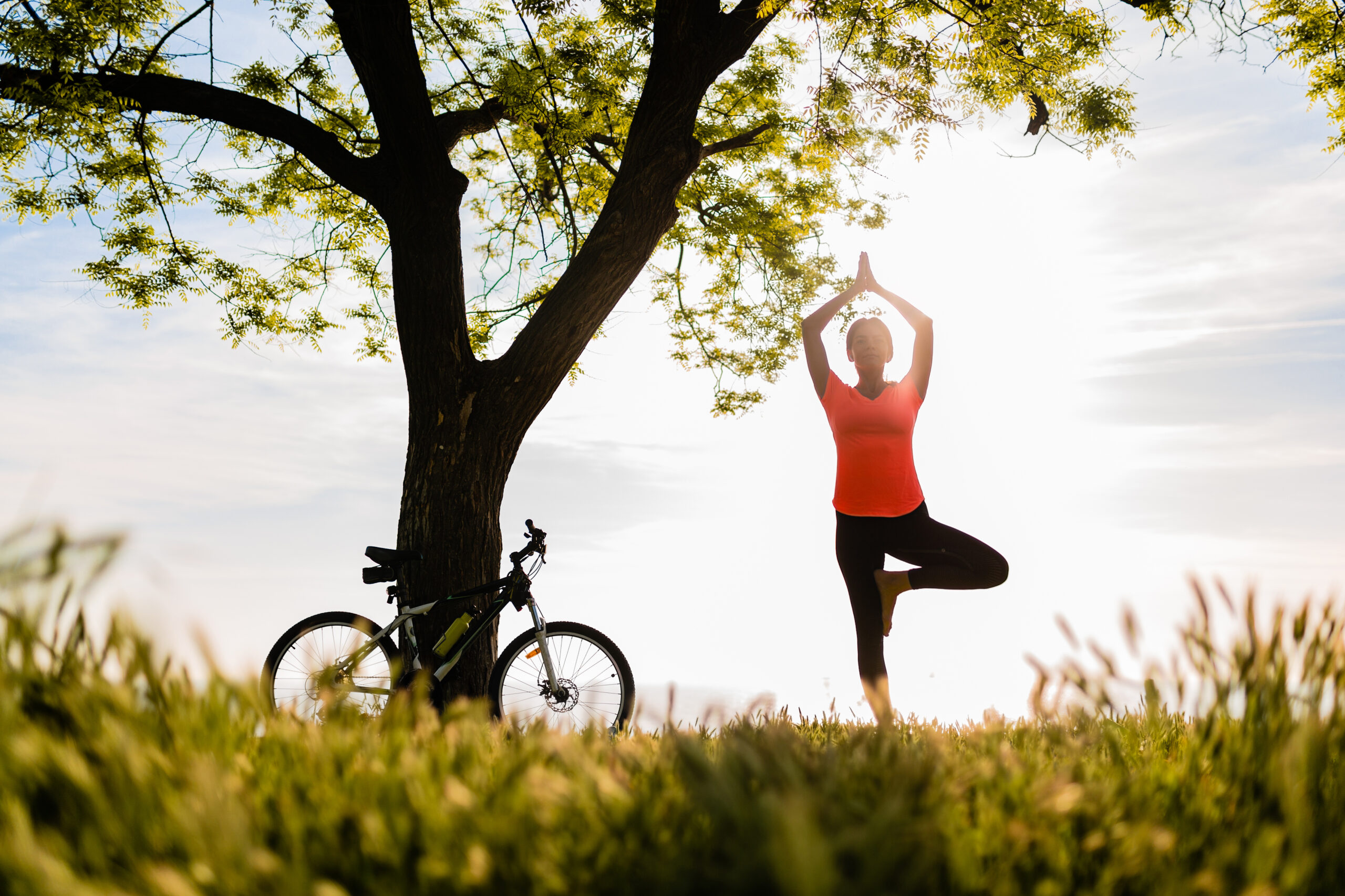 Optimal Wellness